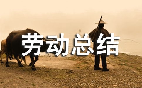 �����Ͷ��ܽᣨͨ��10ƪ��