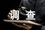 社会用字调查报告15篇