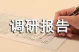 关于调研报告的特点