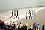 关于观潮的作文(通用30篇)