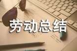 劳动总结和感想(精选20篇)