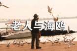 老人与海鸥读后感200字
