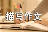 人物描写作文