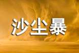 沙尘暴作文600字(精选28篇)