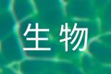 大学生物流实习自我鉴定