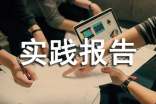 高中生社会实践报告(15篇)