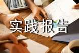 社会实践报告格式