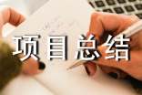 项目总结报告_模板