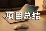 项目总结报告范文
