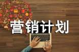 网络营销计划书