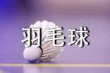 打羽毛球四年级作文