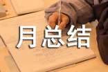 企业每月计划与月总结模板