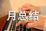 月总结报告模板