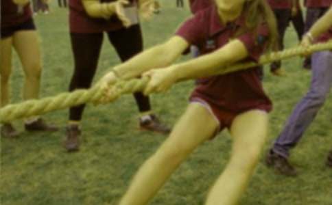 拔河比赛作文150字(通用60篇)