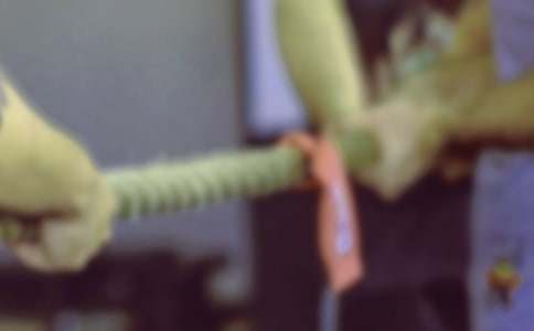 激烈的拔河比赛作文650字