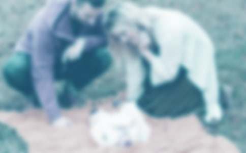 ���ְ������һ����15ƪ���Ƽ���