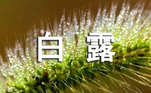 白露节气的知识