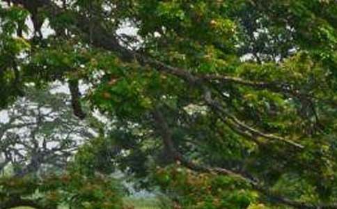 ���������ޡ��Ķ���У�ͨ��18ƪ��