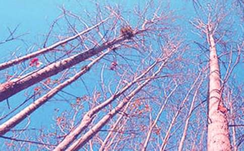 ���������ޡ���ѧʵ¼