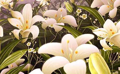 �������ϵİٺϻ��������