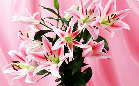 �۲�ٺϻ����ռ�