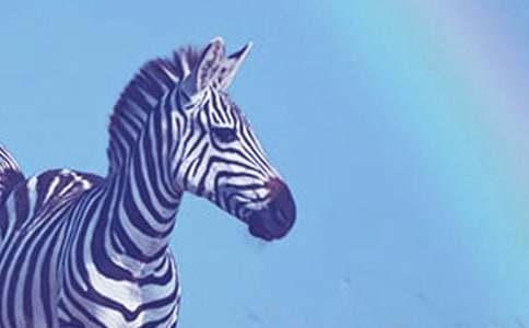 ����������15ƪ����ѡ��