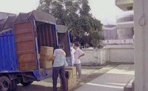 蚂蚁搬家观察日记