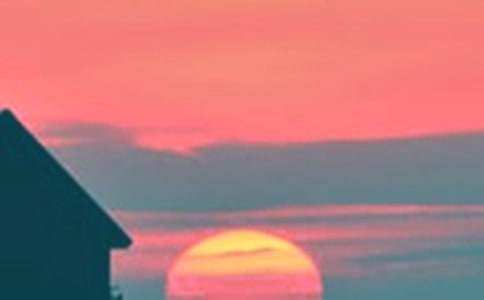 ����İ�������