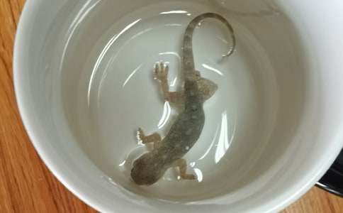 ������Խ̰���С�ڻ���β��7ƪ