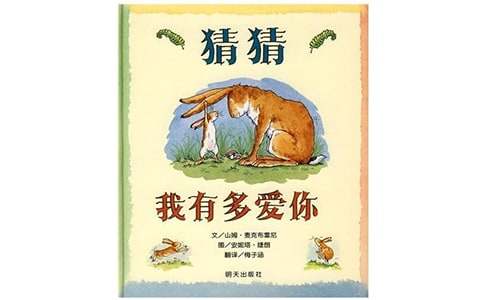 《猜猜我有多爱你》读后感精选15篇
