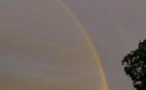 ���ʺ�ľ�ͷ���̰�