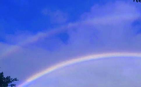 (集合)彩虹作文600字