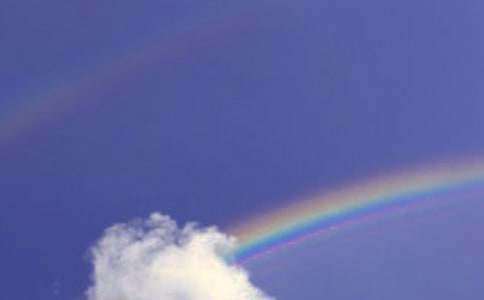 ���ڲʺ��Ψ������310��