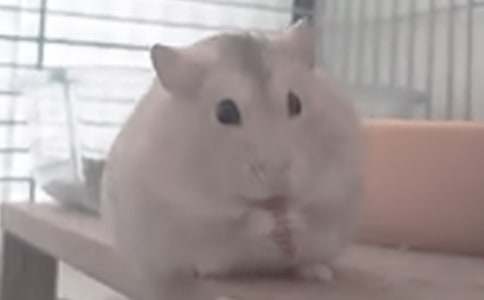 (�ϼ�)���������600��4ƪ