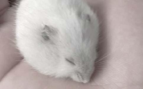 ����۲��ռǣ�ͨ��36ƪ��