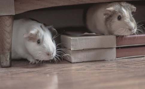 С���������