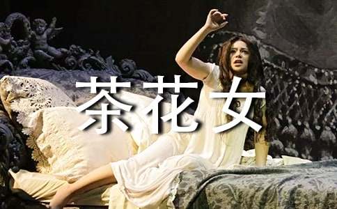 茶花女读后感(精选15篇)