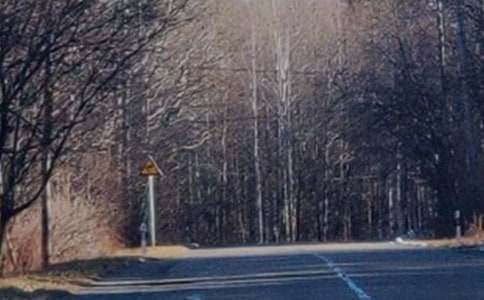 ����ɽ����[����]