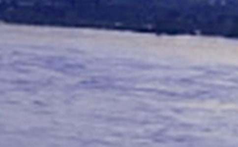 ���ڳ���������