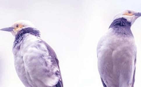 ���ܾ�����¼320��