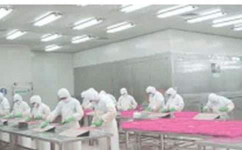 �������εĹ���ְ�𡾻��15ƪ��