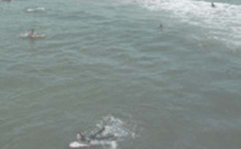 (优)冲浪的作文