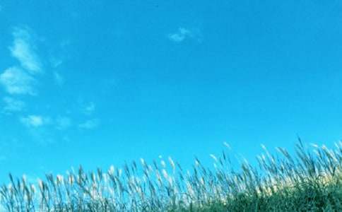 ��һ�ƴ�������15ƪ�����㡿