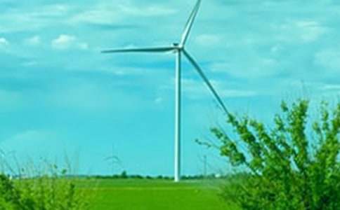 ��д�����Сѧ������