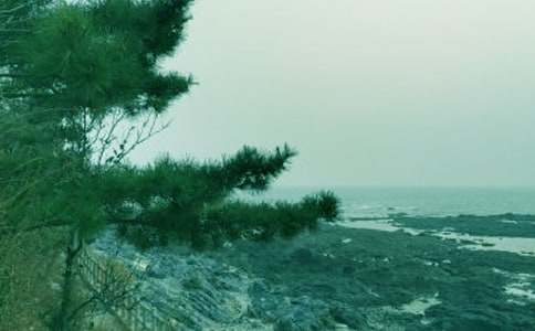 春风拂面作文优秀【15篇】