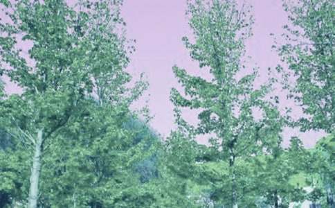 ���ڴ�������15ƪ