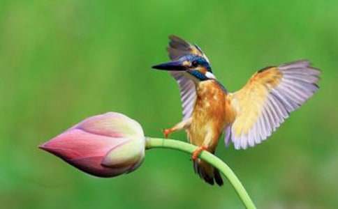 ���Ƽ�������̰���ƪ