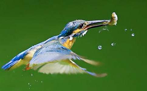 Сѧ���Ľ̰�������