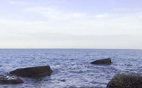 ��ѡ��д������300�ֻ���8ƪ