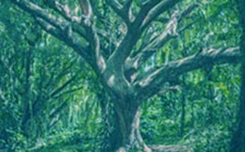 �����㣩����������15ƪ